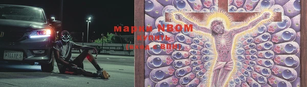 эйфоретик Баксан
