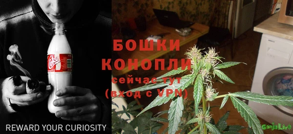 ПСИЛОЦИБИНОВЫЕ ГРИБЫ Надым