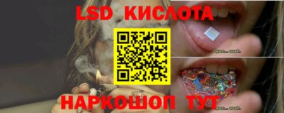 прущие грибы Усть-Джегута
