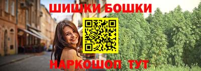 прущие грибы Усть-Джегута