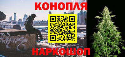 прущие грибы Усть-Джегута