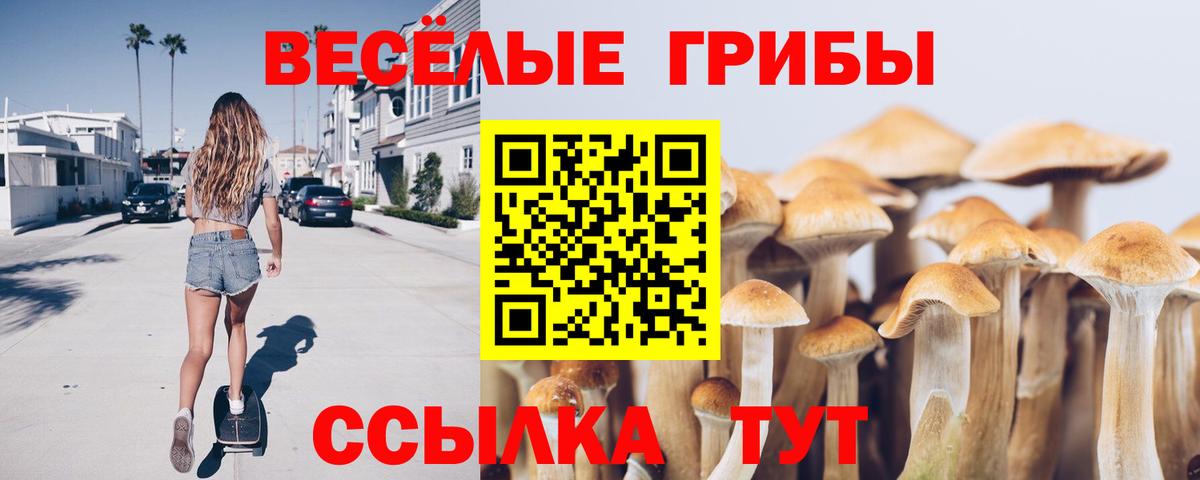 Галлюциногенные грибы Psilocybine cubensis  Псилоцибиновые грибы прущие грибы  Ступино  Вход с VPN 